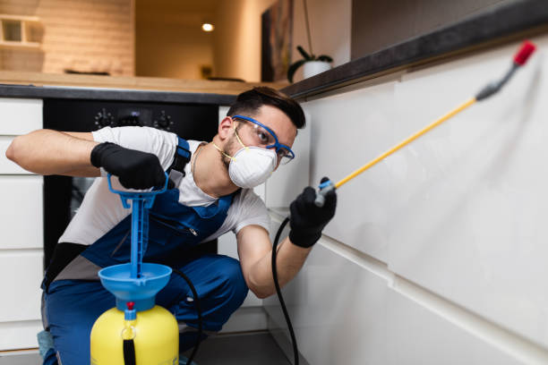 Best Pest Removal Services  in Kalida, OH
