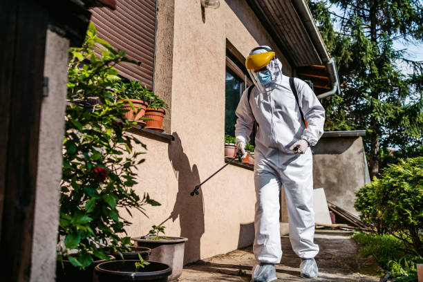 Best Pest Control for Restaurants  in Kalida, OH