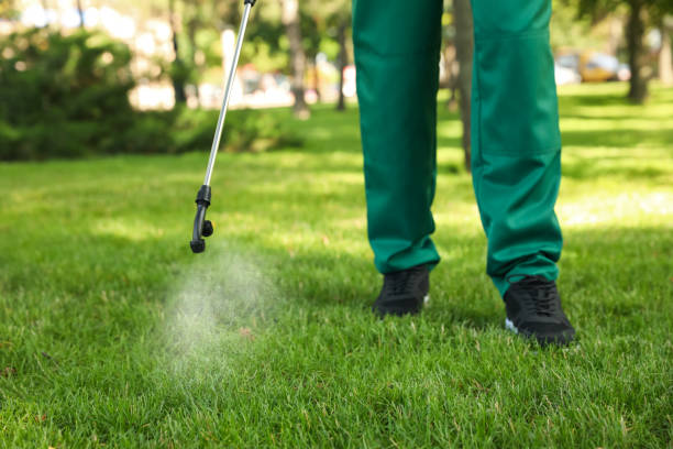 Trusted Kalida, OH Pest Control Experts