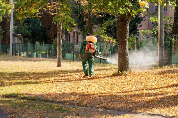 Best Commercial Pest Control Services  in Kalida, OH