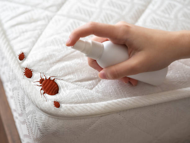 Best Residential Pest Control  in Kalida, OH