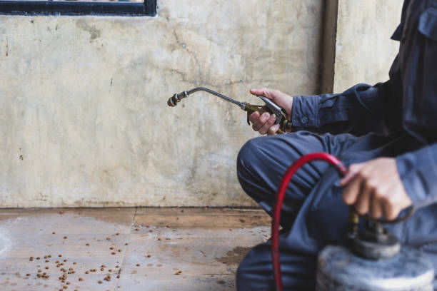 Best Affordable Pest Control Services  in Kalida, OH